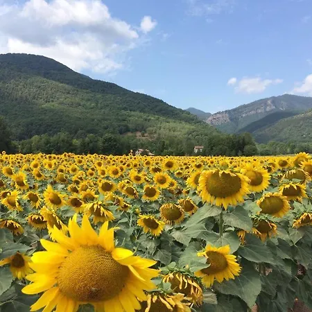 Bed & Breakfast Placa Bell-lloc Girona