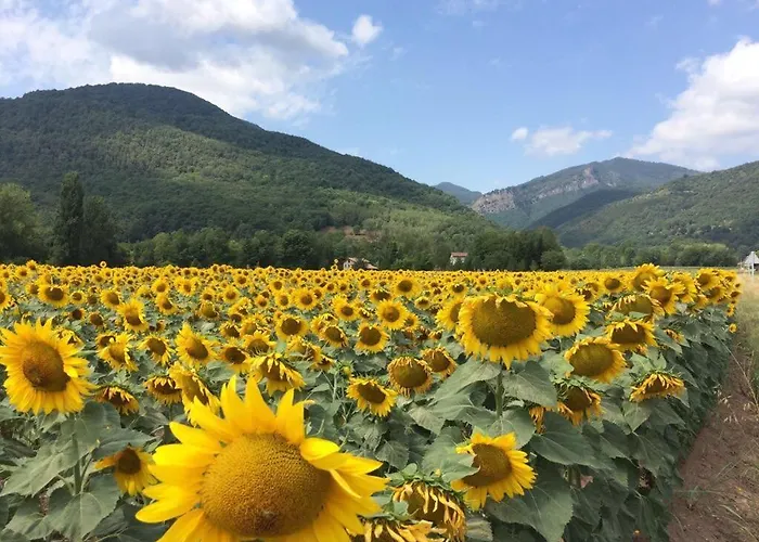 Bed & Breakfast Placa Bell-lloc Girona